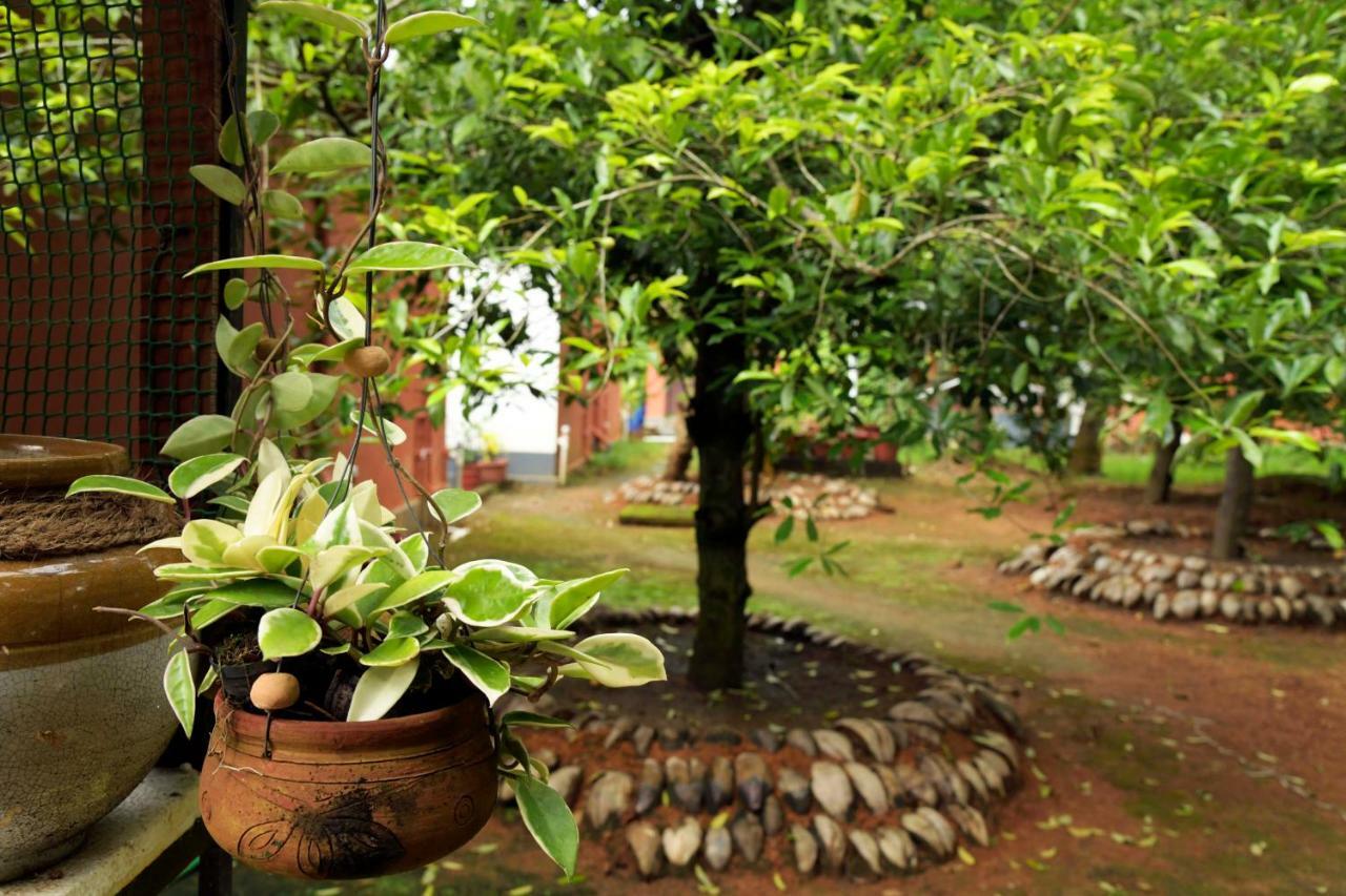 Stayvista At La Riva Heritage Villa With Bicycle Alappuzha Exterior photo